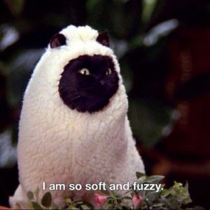 Meet your Posher, Logan